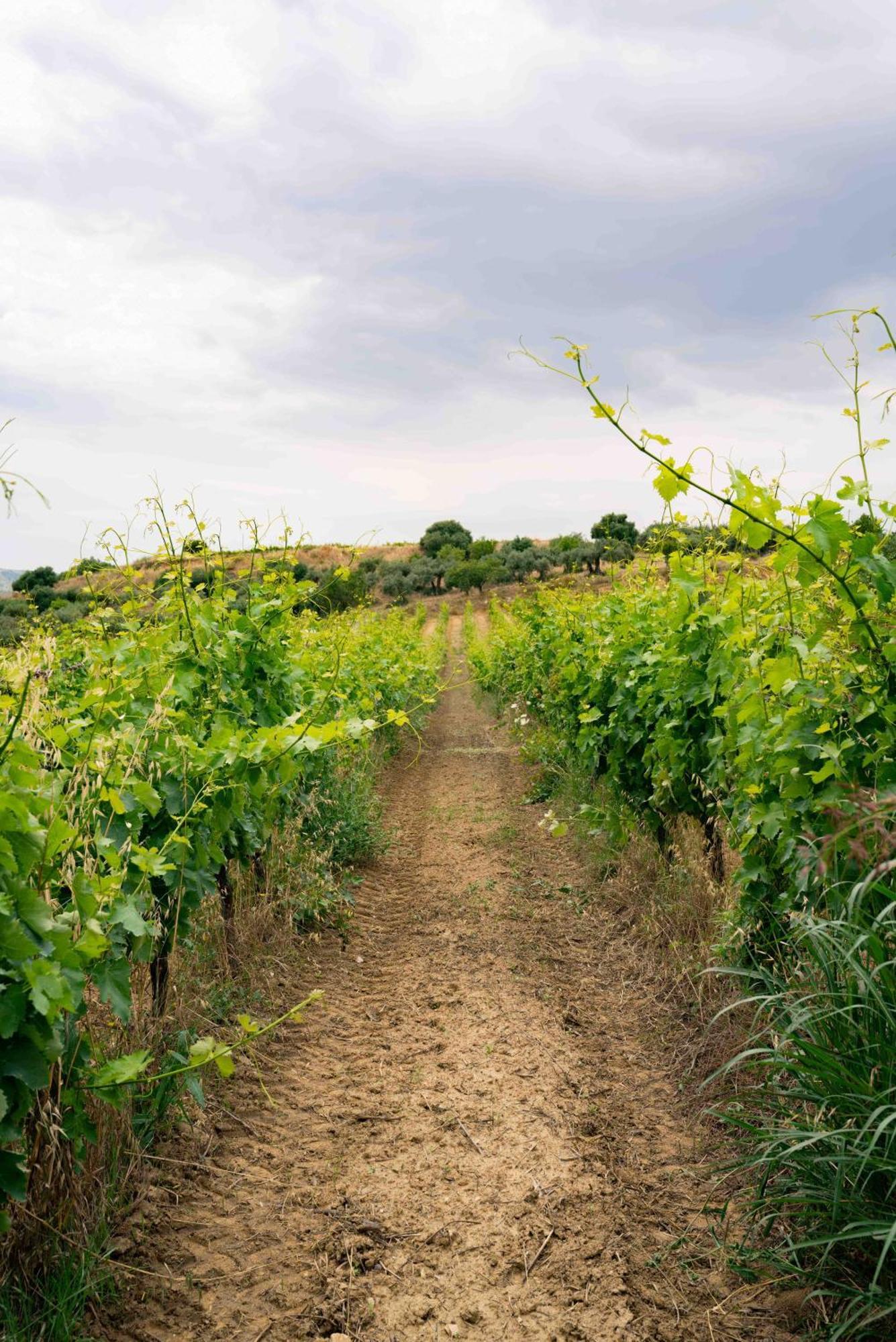 Judeka Agriresort Caltagirone Exterior photo